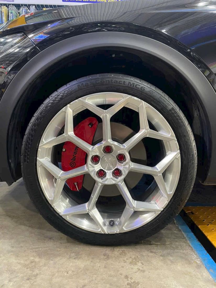 Mâm & heo Brembo